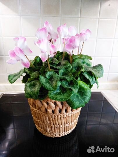 Кашпо плетеное (Малайзия)