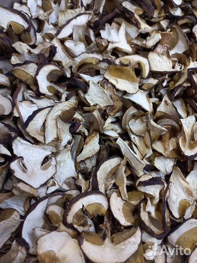 Грибы белые