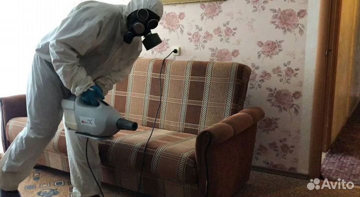 Средство для Уничтожения клопов травли тараканов, блох