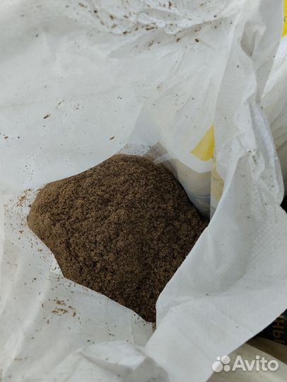 Пивная дробина