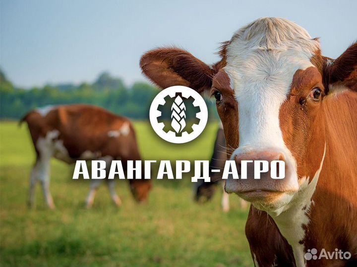 Ветеринарный врач крс