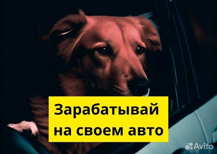 Ваш т/с – ваша работа в Яндекс Go