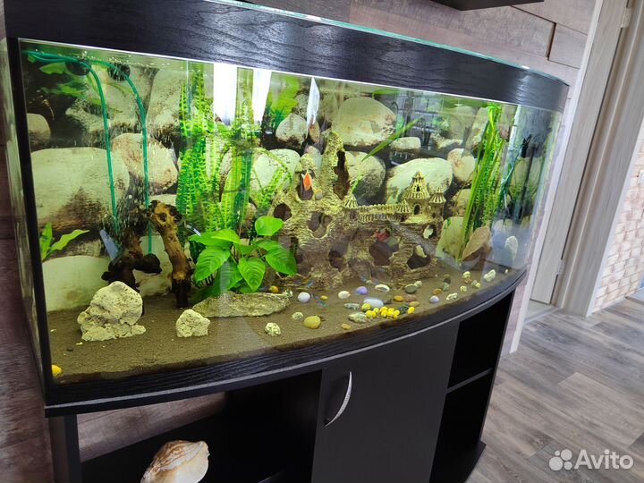 Аквариум с тумбой