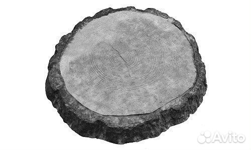 Срез пенька для сада