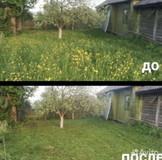 Покос травы, уборка участков