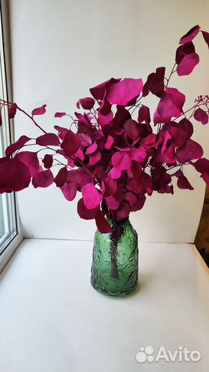 Эвкалипт крашеный декор для дома