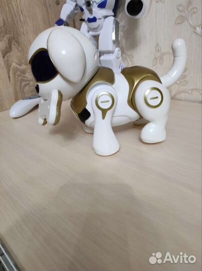 Собачка робот