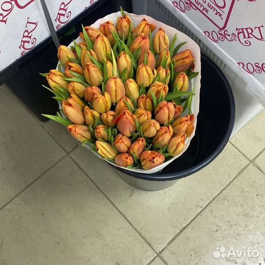 Тюльпаны к 8 марта оптом