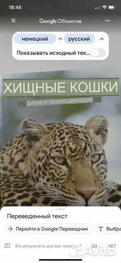 Книга/Хищные кошки,дикие и захватывающие