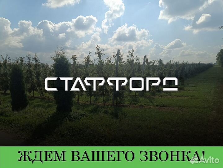 Вахта для бригад, людей сборщик урожая яблок
