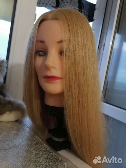 Голова для учёбы