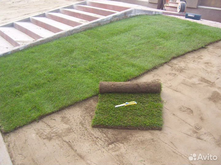 Газон рулонный 