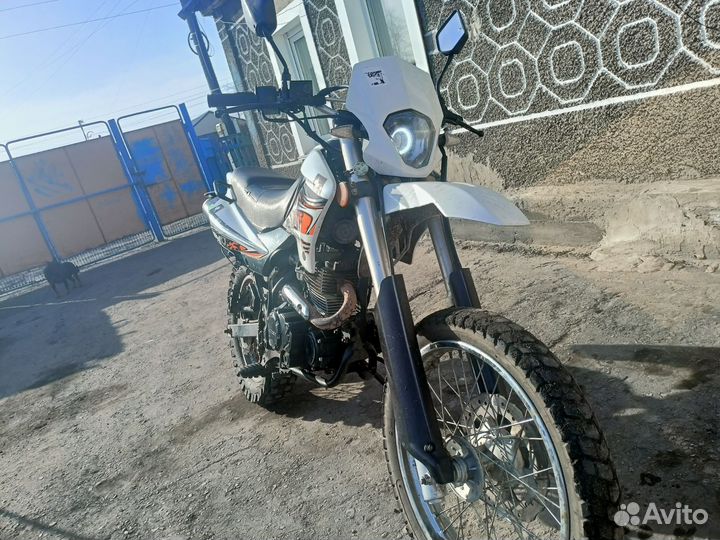Racer panther 200