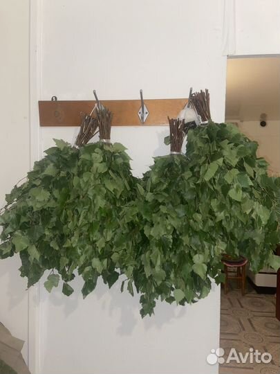 Веники для бани