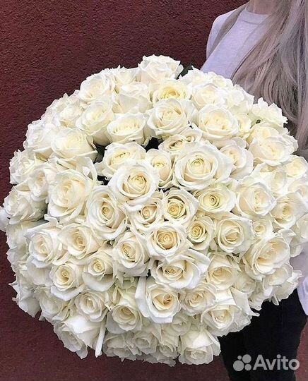 Метровые розы с доставкой