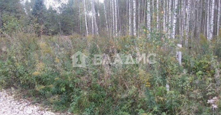 Участок 11,4 сот. (ИЖС)