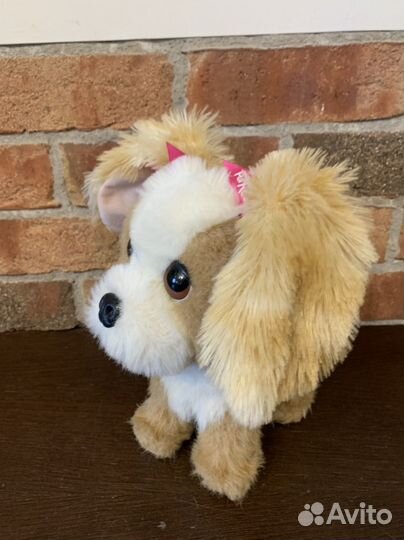 Интерактивный щенок Fur Read friends