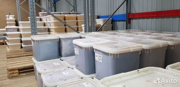 Мёд оптом с Алтая в Томск