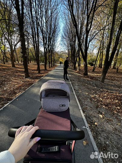 Коляска 2 в 1 adamex