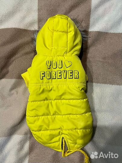 Одежда для собак