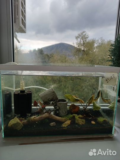 Аквариум с рыбками