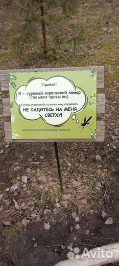 Экскурсия на водопад Кивач