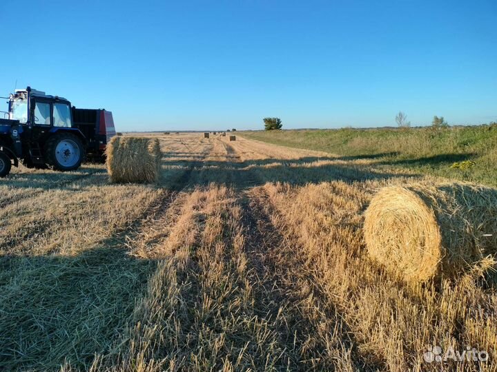 Солома гороховая и пшеничная в тюках и рулонах