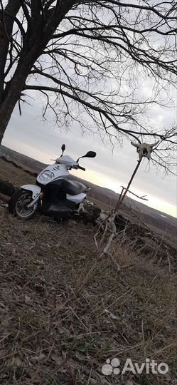 Sym orbit 50