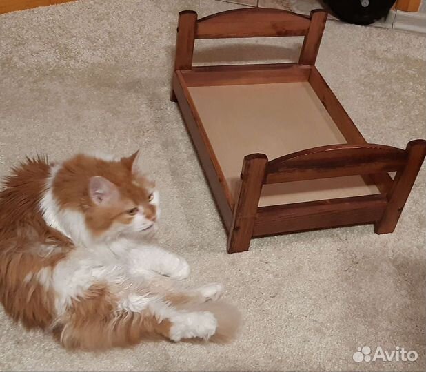 Котокровать