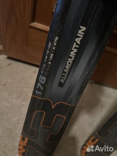 Горные лыжи