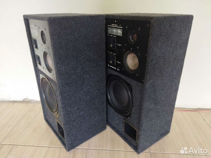 Колонки Радиотехника 35ас-201