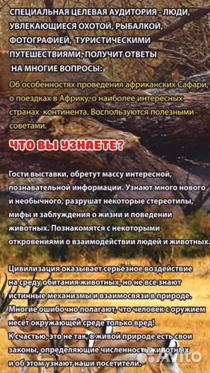 Экскурсия. Выставка- музей 