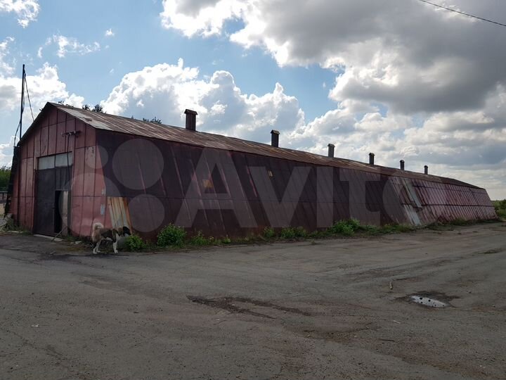 Свободного назначения, 320 м²