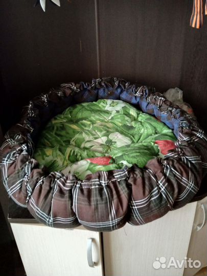 Домашние животные