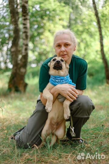 Малютка щенок совсем один