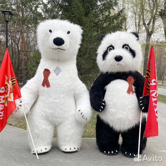 Креативное поздравление от белого мишки