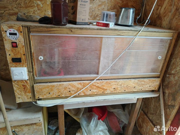 Клетка с перепелами