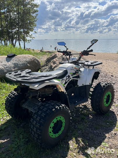 Квадроцикл mowgli hardy 8