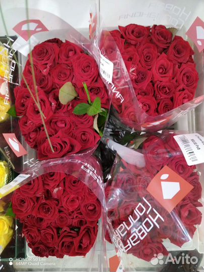 Роза российская 40см пачка (20 шт)