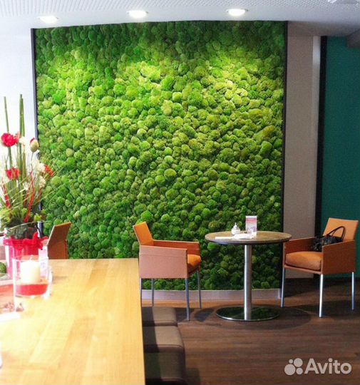 Панели мха. Стабилизированный мох