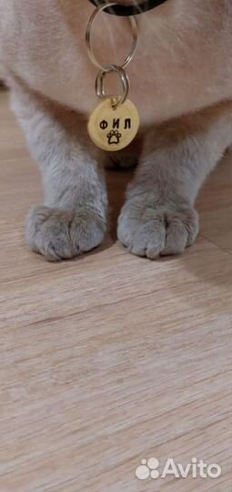 Адресники для животных