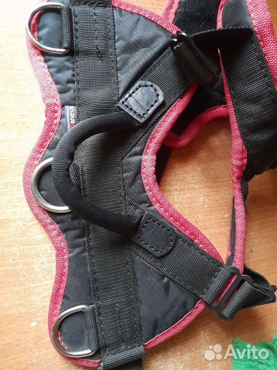 Шлейка для собаки