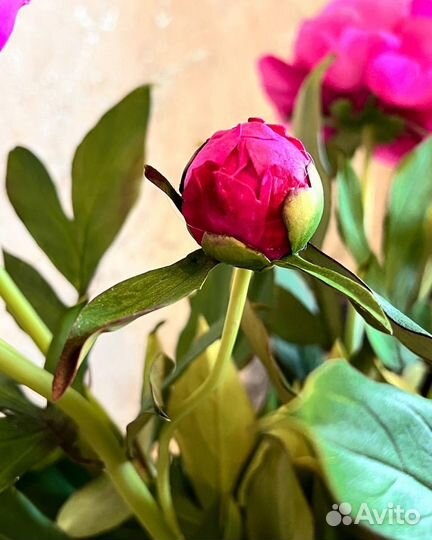 Искусственные пионы ручной работы