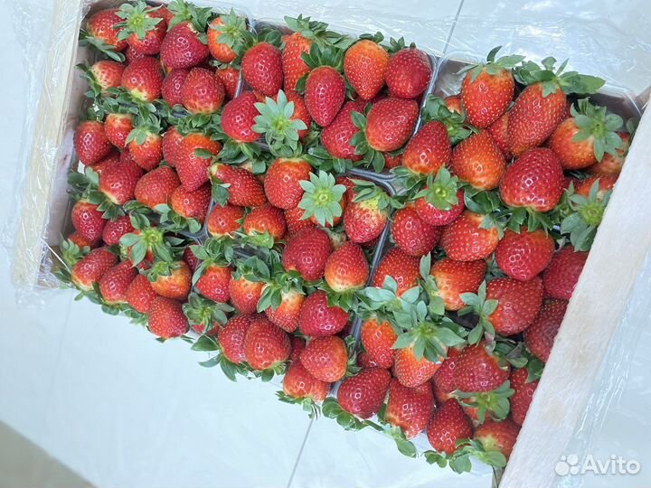 Клубника в шоколаде букеты