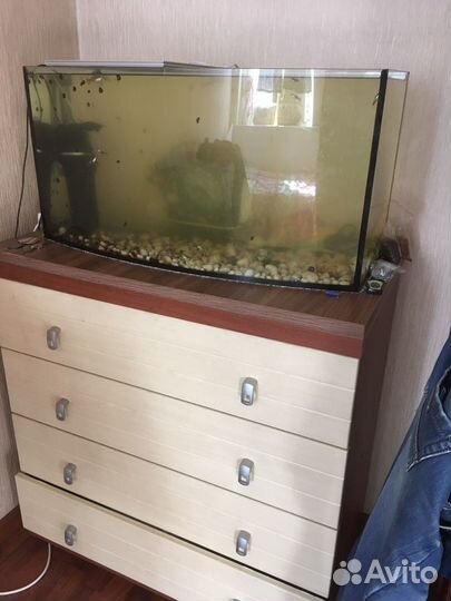 Аквариум 100л с колукруглым стеклом, с рыбками
