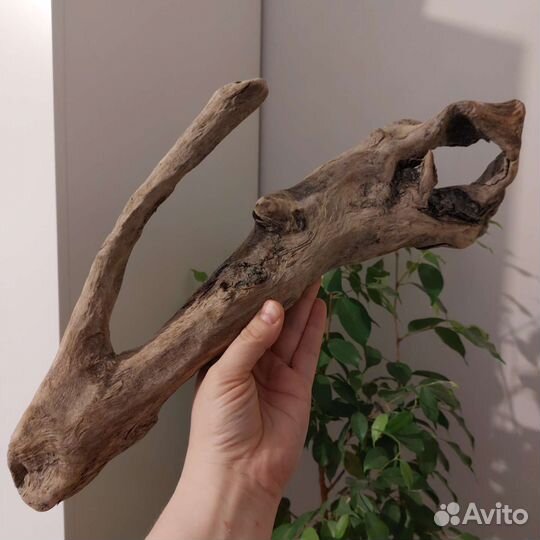 Топляк, коряга для макраме или декора, дрифтвуд