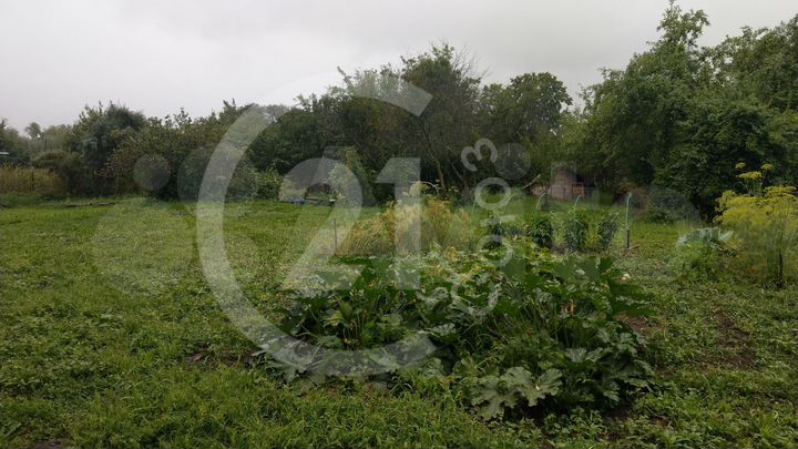 Участок 13 сот. (СНТ, ДНП)