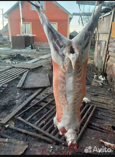 Баранина