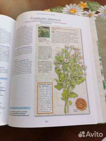 Книга. энциклопедия лекарственных растений