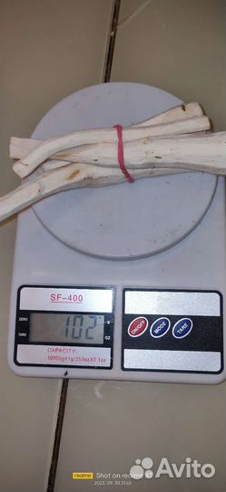 Корень хрена